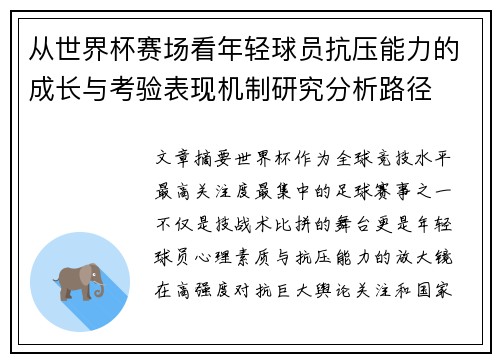从世界杯赛场看年轻球员抗压能力的成长与考验表现机制研究分析路径